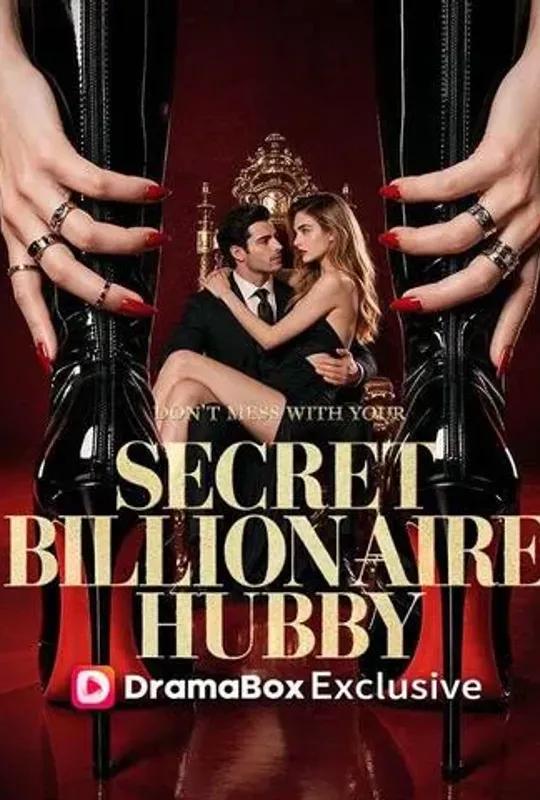 Don’t Mess With Your Secret Billionaire Hubby poster