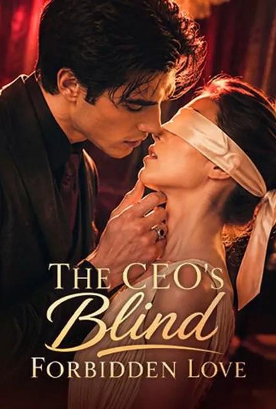The CEO’s Blind Forbidden Love poster