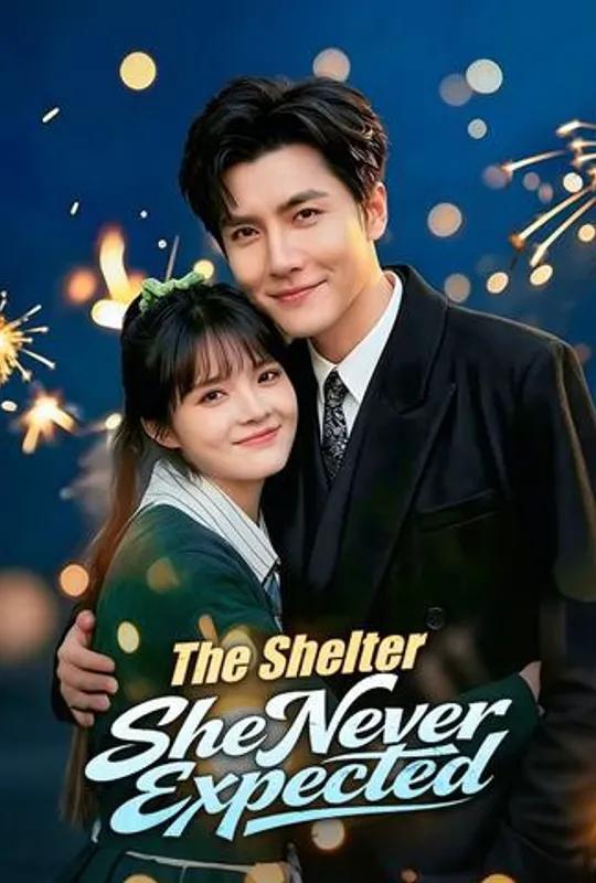 The Shelter She Never Expected poster
