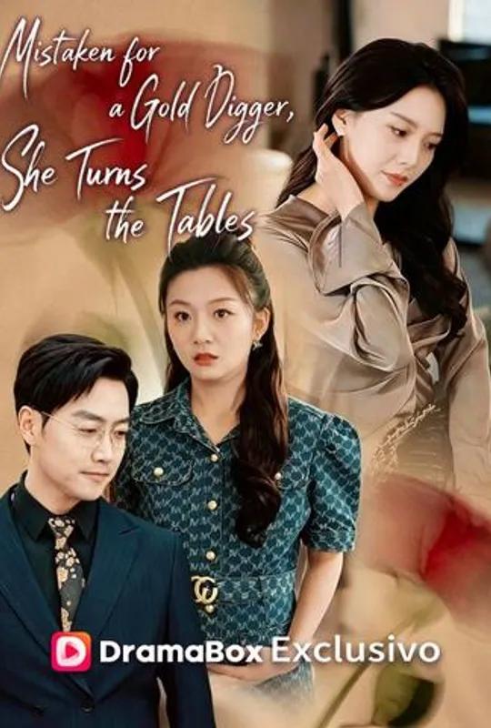 Mistaken for a Gold Digger, She Turns the Tables poster