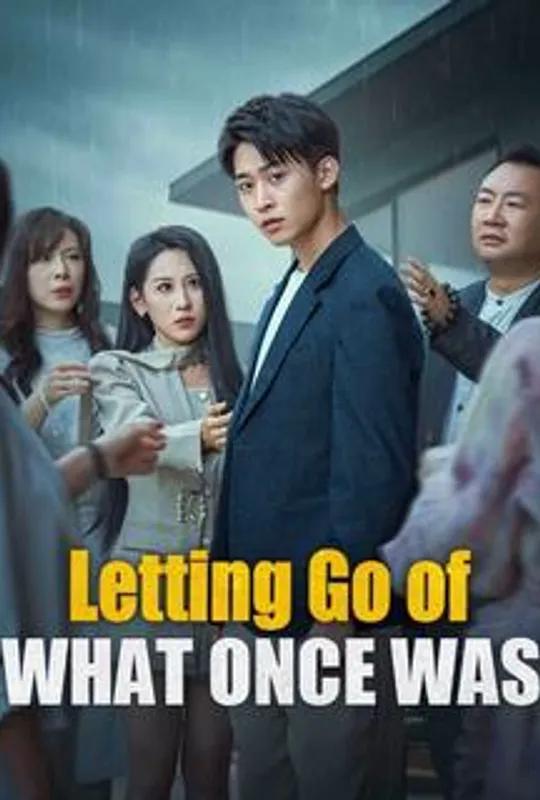 Letting Go of What Once Was poster