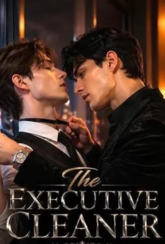 The Executive Cleaner poster