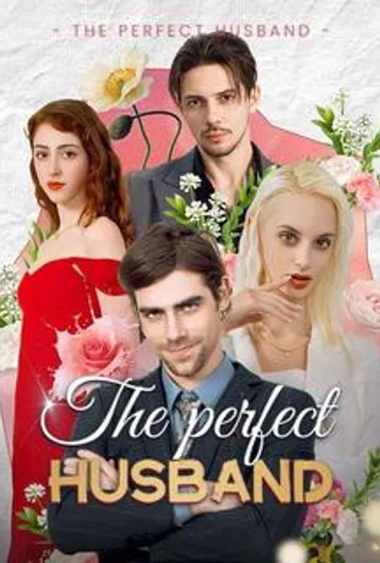 The Perfect Husband poster
