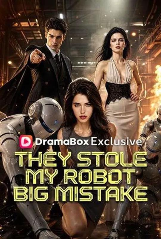 They Stole My Robot.Big Mistake poster