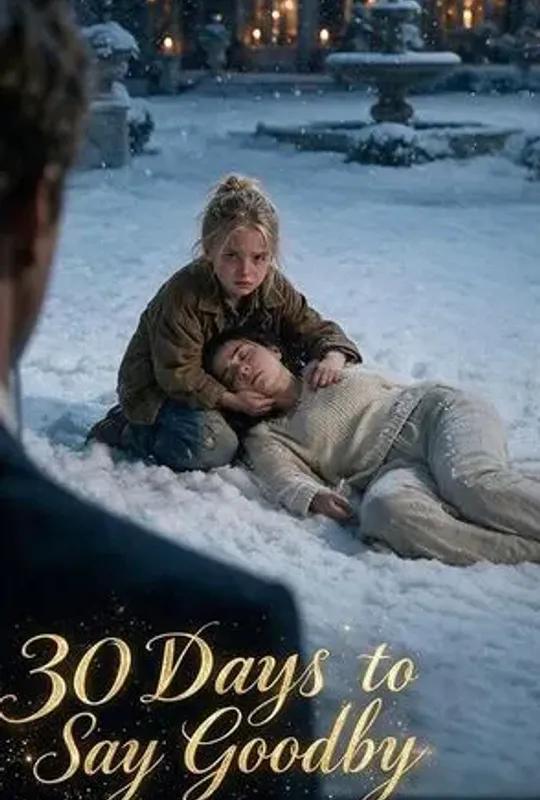 30 Days to Say Goodbye poster