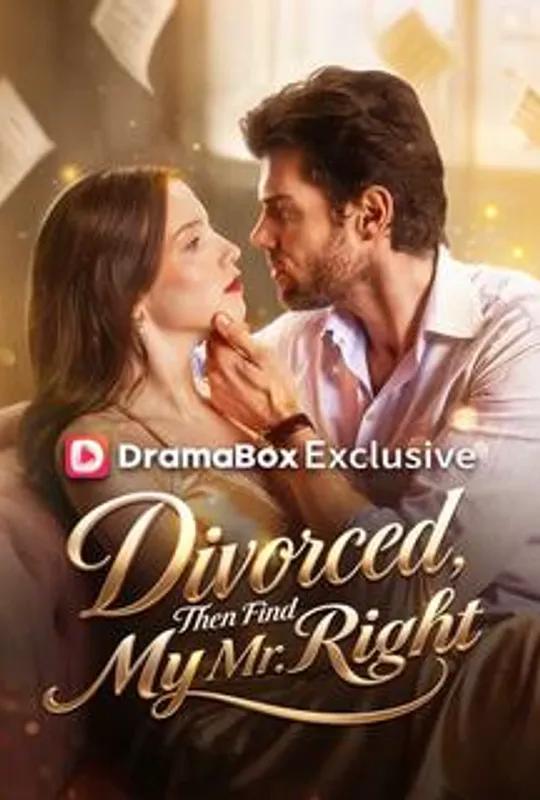 Divorced, Then Find My Mr. Right poster