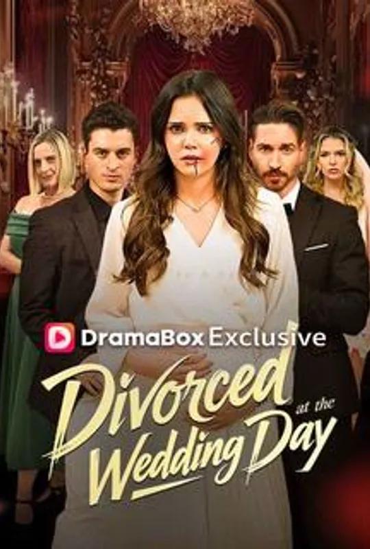 Divorced at the Wedding Day poster