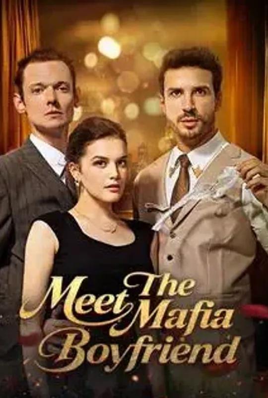 Meet The Mafia Boyfriend poster
