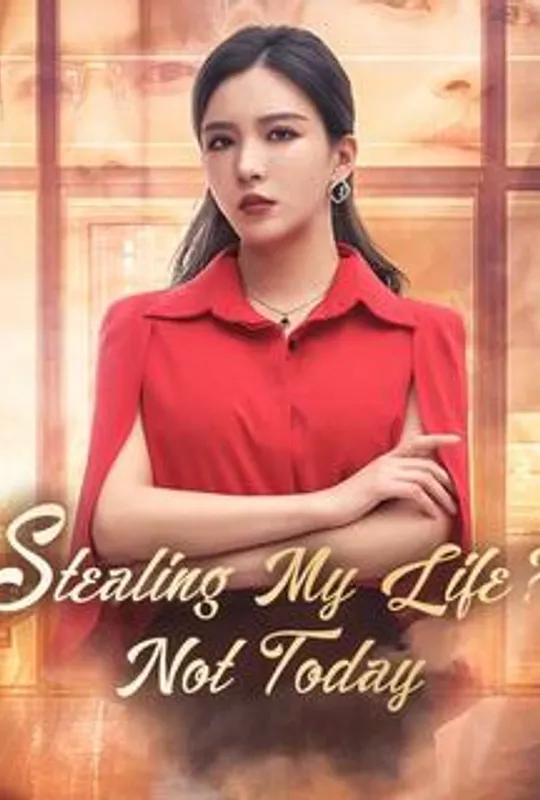 Stealing My Life? Not Today poster