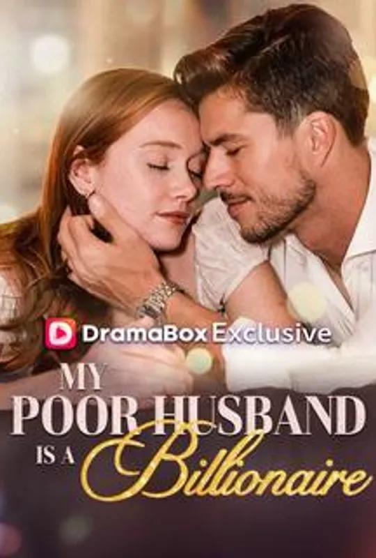 My Poor Husband is A Billionaire poster