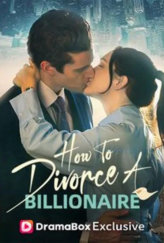 How to Divorce a Billionaire poster