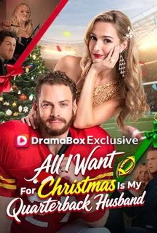 All I Want For Christmas Is My Quarterback Husband poster