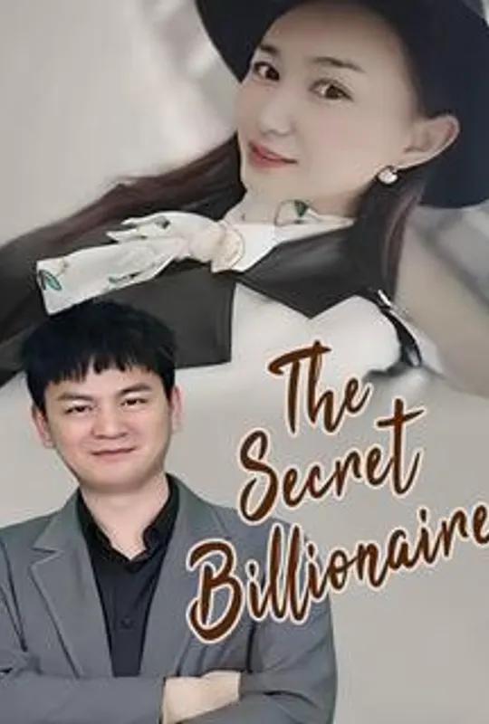 The Secret Billionaire poster