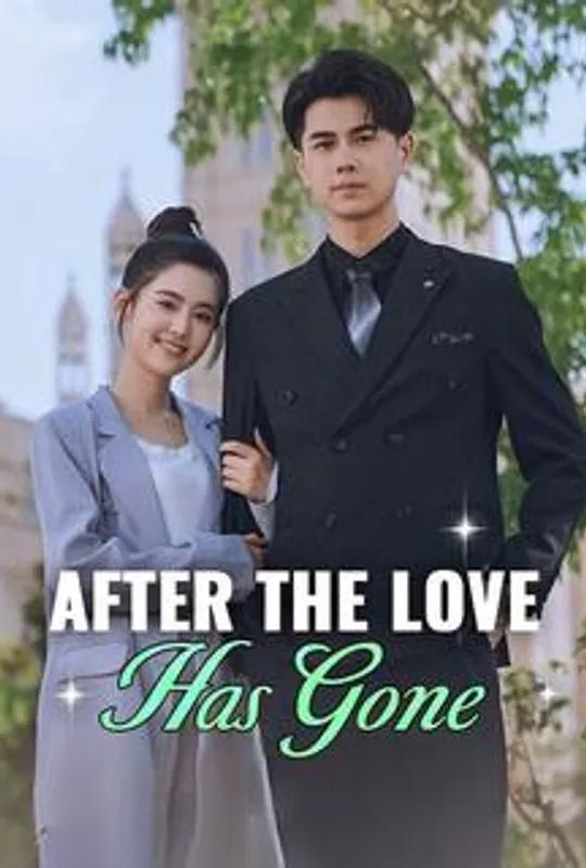 After the Love Has Gone poster