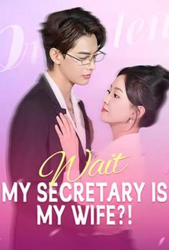 Wait, My Secretary Is My Wife?! poster