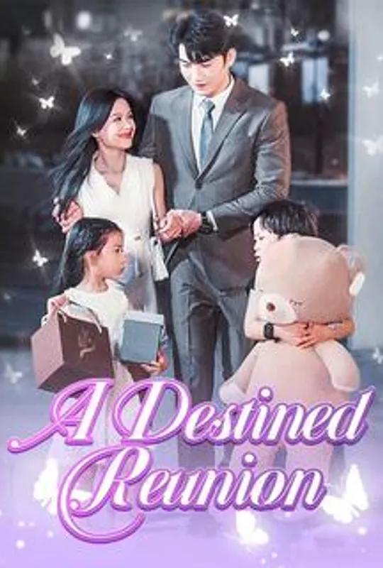 A Destined Reunion poster