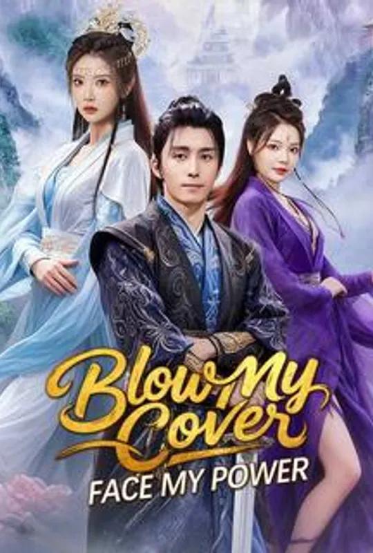 Blow My Cover, Face My Power poster