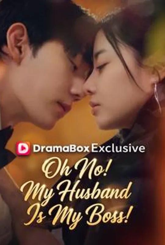 Oh No! My Husband Is My Boss! poster