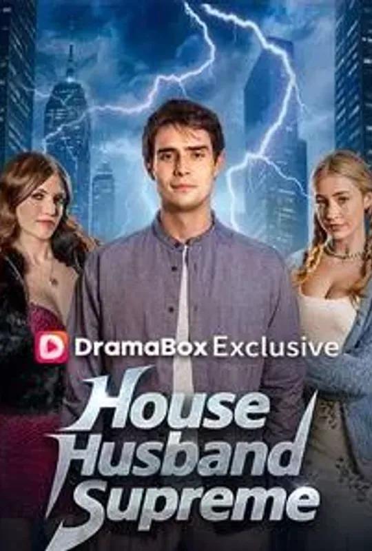 House Husband Supreme poster