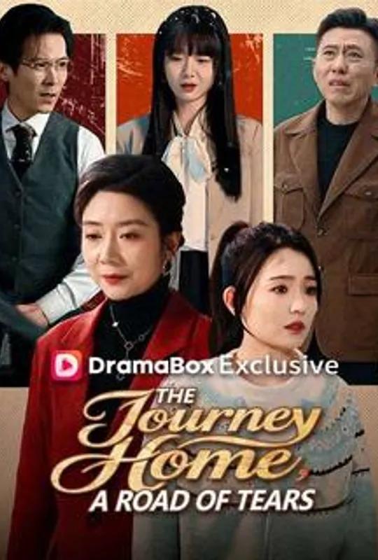 The Journey Home, A Road of Tears poster