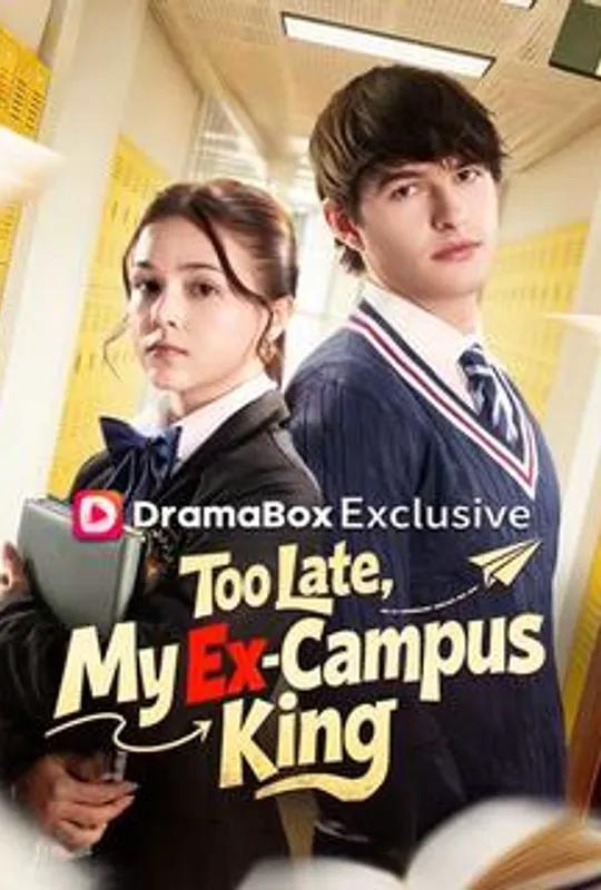 Too Late, My Ex-Campus King poster