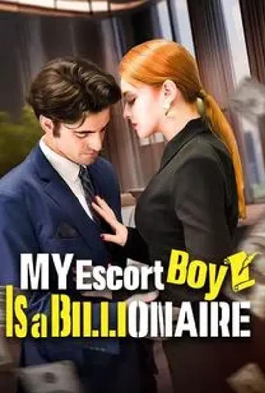 My Escort Boy Is a Billionaire poster