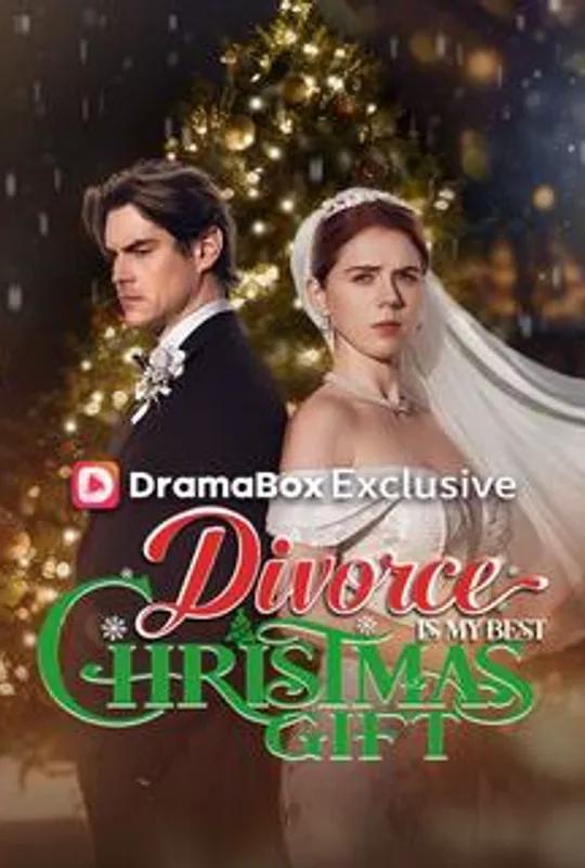 Divorce Is My Best Christmas Gift poster