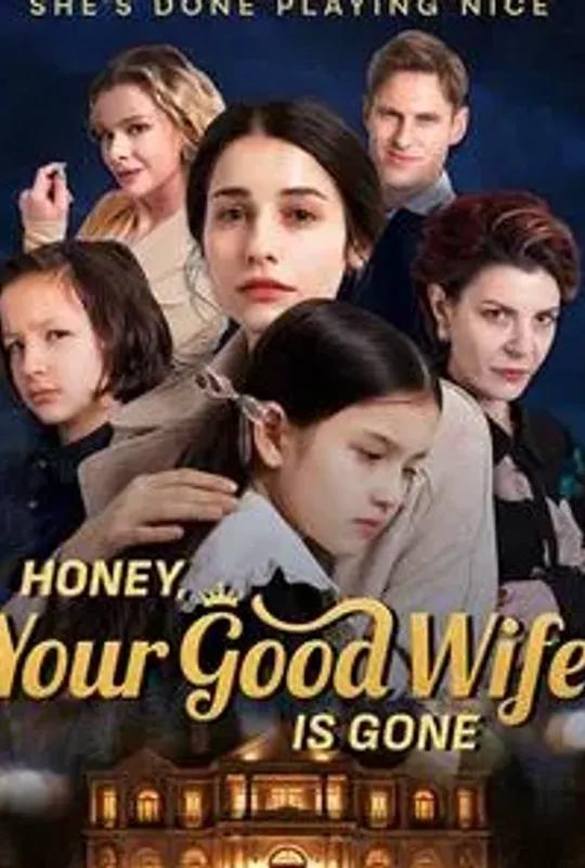 Honey, Your Good Wife is Gone poster