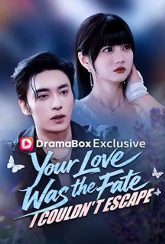 Your Love Was the Fate I Couldn't Escape poster