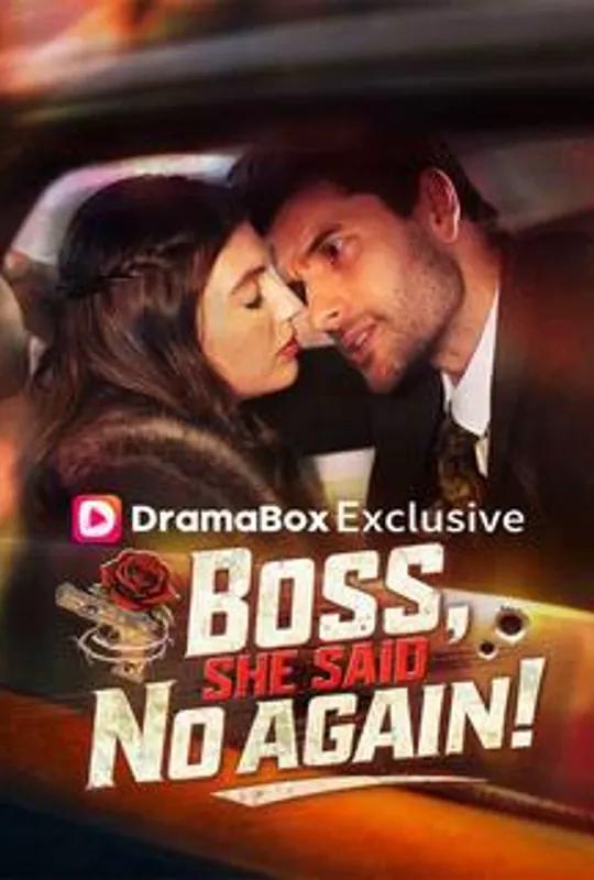 Boss, She Said No Again! poster