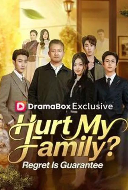 Hurt My Family? Regret Is Guaranteed poster