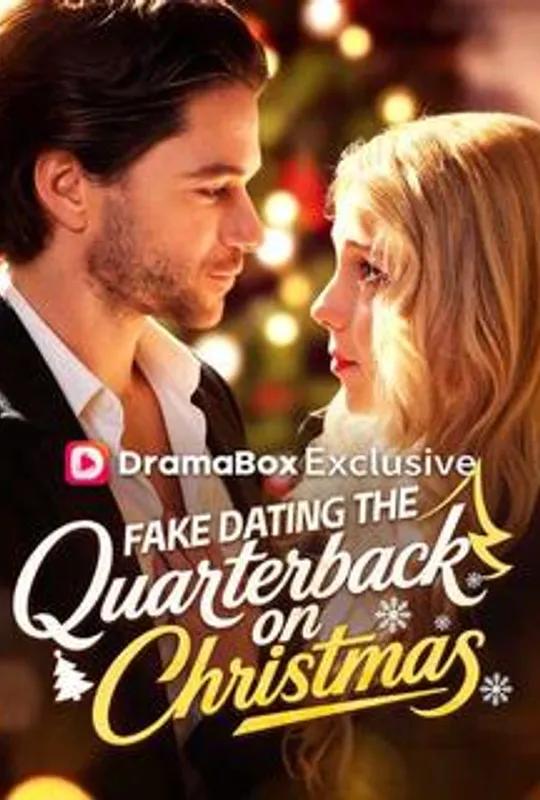 Fake Dating The Quarterback on Christmas poster