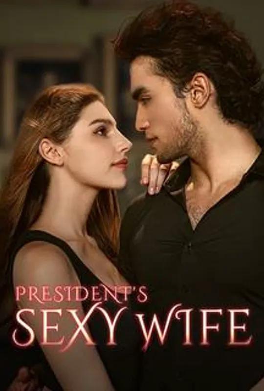 President's Sexy Wife poster