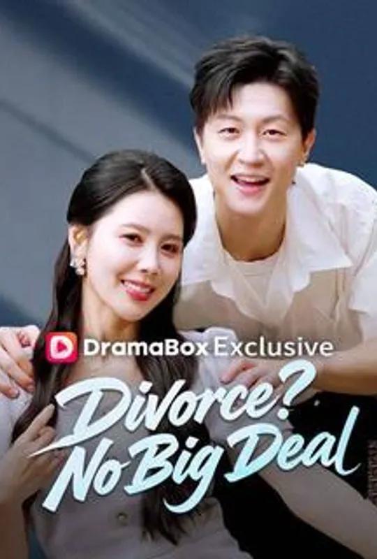Divorce? No Big Deal (DUBBED) poster