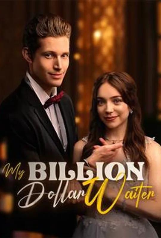 My Billion Dollar Waiter poster