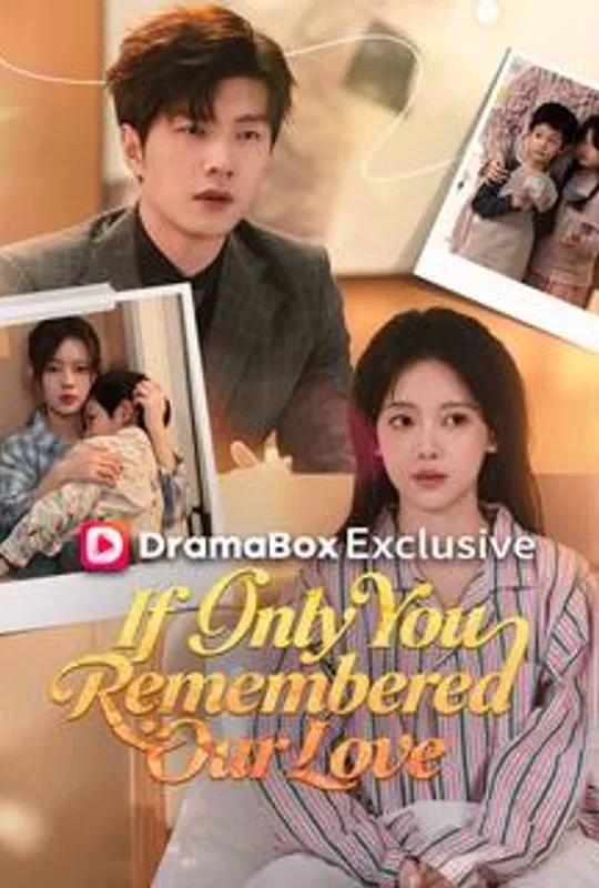 If Only You Remembered Our Love poster