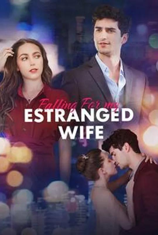 Falling For My Estranged Wife poster