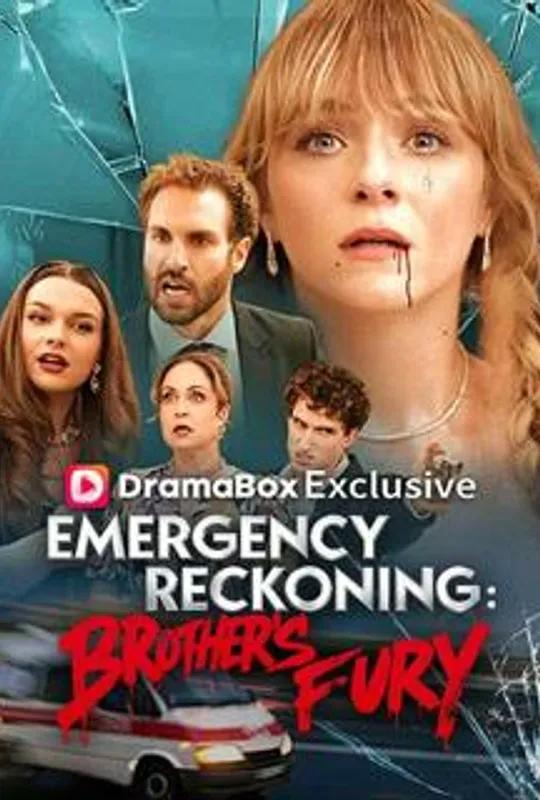 Emergency Reckoning: Brother's Fury poster