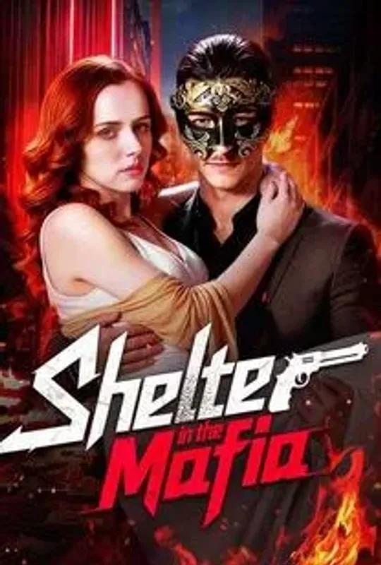Shelter in the Mafia poster