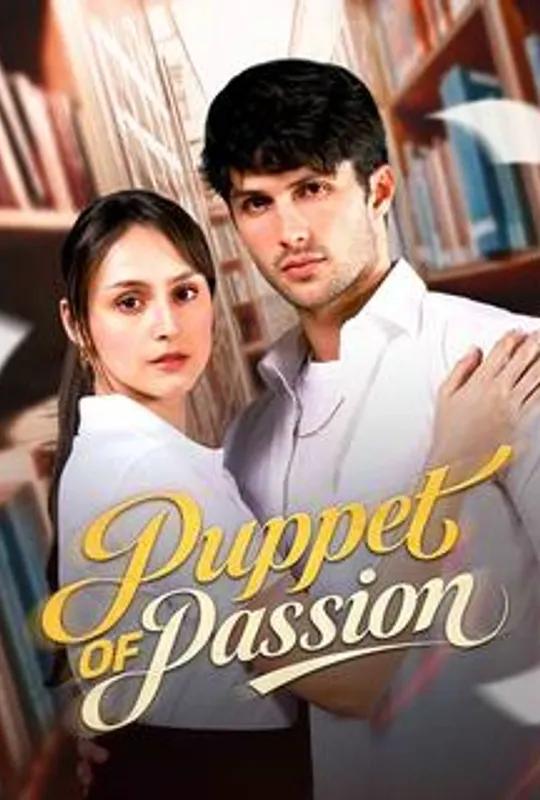 Puppets Of Passion poster