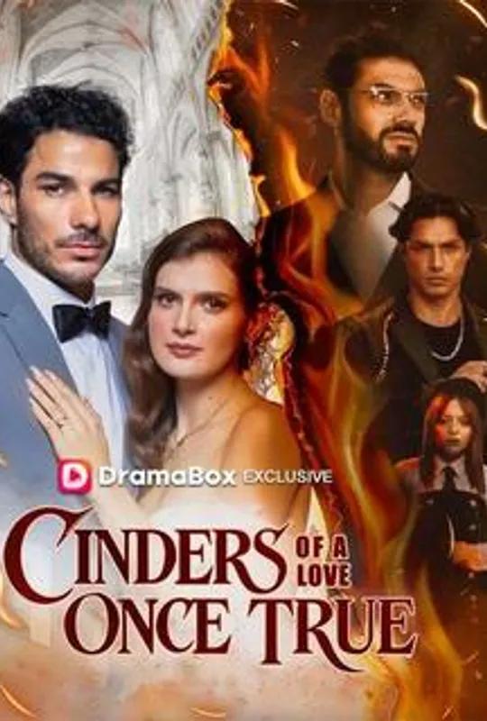Cinders of a Love Once True poster