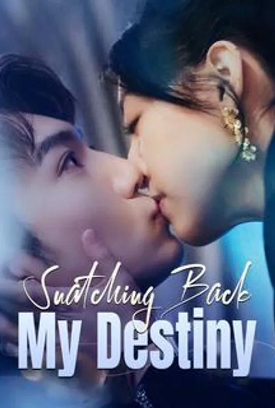Snatching Back My Destiny poster