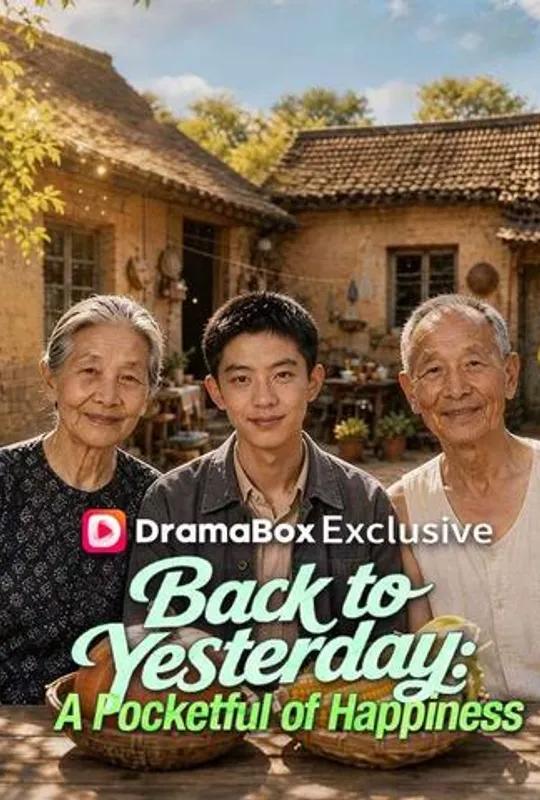 Back to Yesterday: A Pocketful of Happiness poster