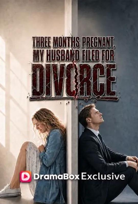 Three Months Pregnant, My Husband Filed For Divorce poster