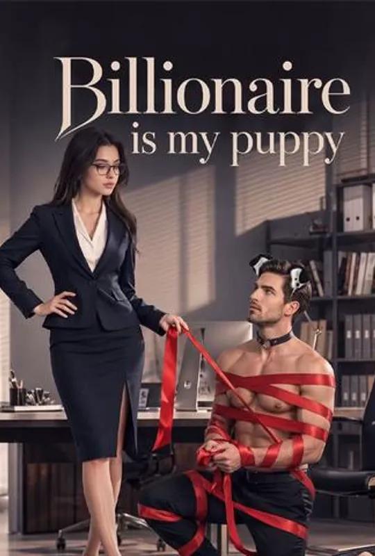 Billionaire is my puppy poster
