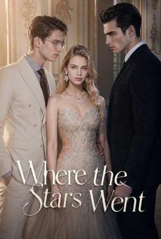 Where the Stars Went poster