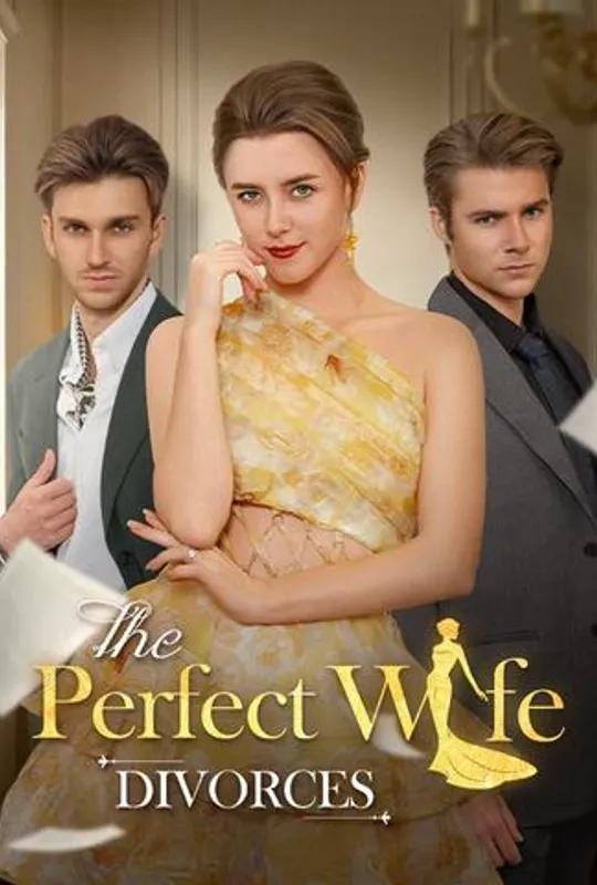 The Perfect Wife Divorces poster