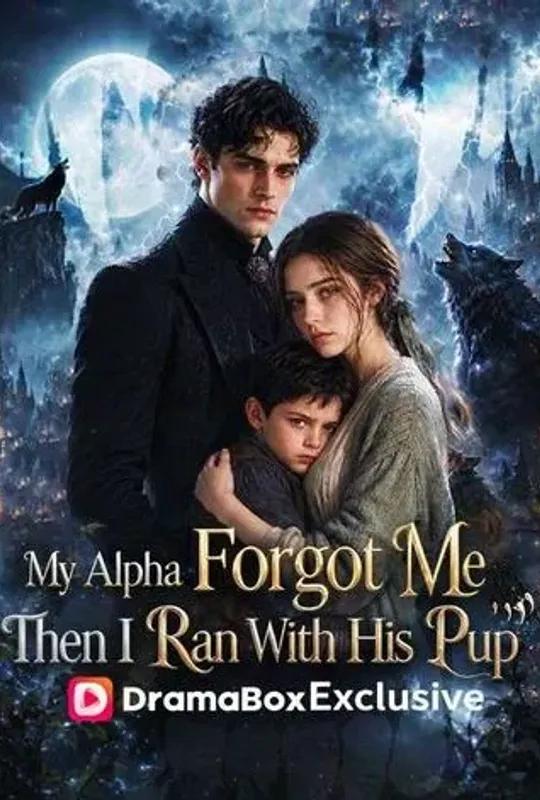 My Alpha Forgot Me; Then I Ran With His Pup poster