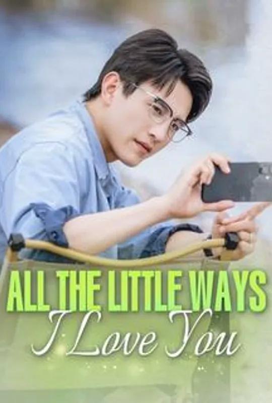 All the Little Ways I Love You poster