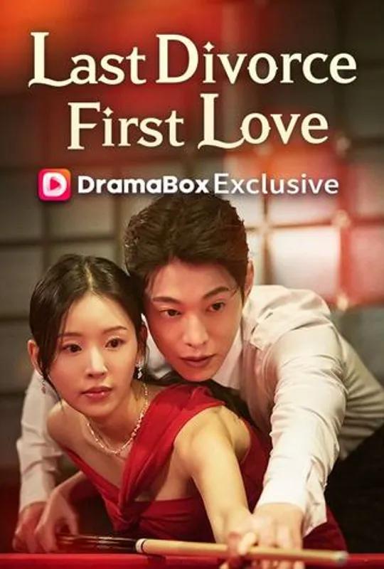 My Last Divorce, My First Love（DUBBED） poster